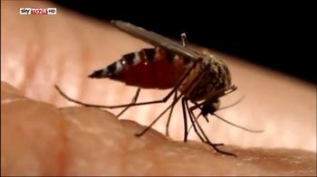 Malaria, Sofia morta per complicanze malattia