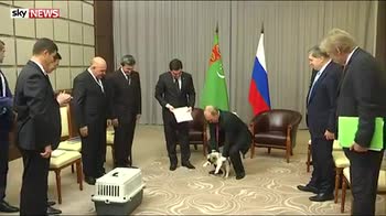 Putin's puppy love: President's new Alabai