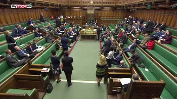 Molestie sessuali, scandalo tra deputati uk e del front national