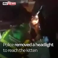 Patrol car pulled apart to free kitten