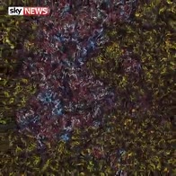 China's bike boom overinflates