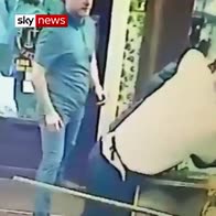 CCTV: Shopper grapples with thief