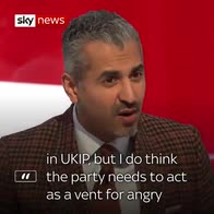 'UKIP provided voice for voiceless'