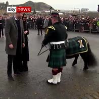 Prince Harry's near miss with a pony
