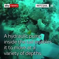 Robotic fish goes on test swim