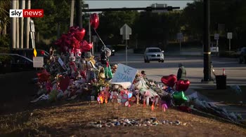 'I survived Florida school shooting'