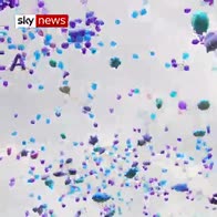 Balloons for Alfie: Supporters say goodbye