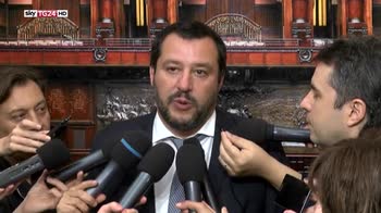 Salvini, senza un governo politico al voto l'8 luglio