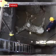 Remains of horse found in Pompeii stable