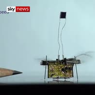 RoboFly: world's first flying robotic insect