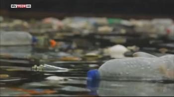 ERROR! Ambiente: il ministro Costa lancia il Plastic Free Challenge