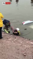 Moment woman rescued from submerged car