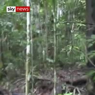 'Last' uncontacted tribesman filmed in Amazon