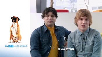 Sky Uno Loves Animals 2: Sem & Stenn