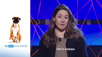 Sky Uno Loves Animals 2:Sofia Goggia