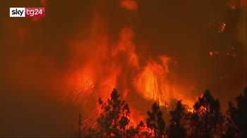 California in fiamme: bruciata un'area pari alla città di Los Angeles