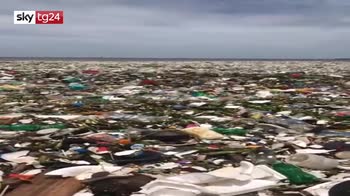 Un mare da salvare: la Nuova Zelanda dice basta ai sacchetti di plastica