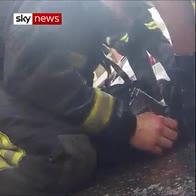 Firefighters rescue dog and perform CPR on it