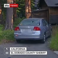 Bear escapes after sheriff shoots car window