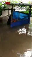 Puppy pulled from Kerala floods