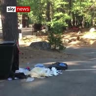 Man rescues bear from dumpster