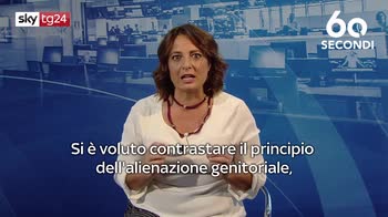 ERROR! Sky tg24 60 secondi, come cambia l’affido condiviso