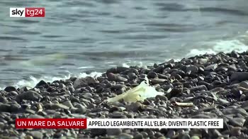 Appello Legambiente all'Elba: diventi plastic free