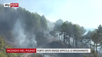 Incendi nel Pisano