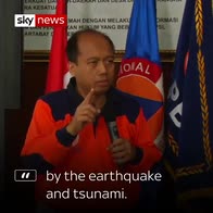 Hundreds killed after tsunami strikes