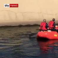 Firefighters rescue deer in canal with lasso