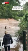 Man rescues his horses from flood