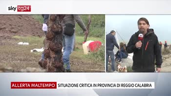Maltempo, situazione critica in provincia di Reggio Calabria