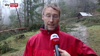 ERROR! maltempo, boschi distrutti in Friuli
