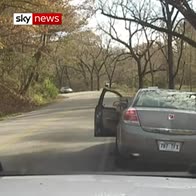 Driver fires shots at police car