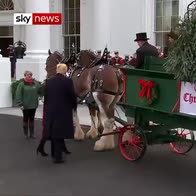 Trump welcomes White House Christmas Tree