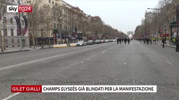 Gilet gialli, quinto sabato di proteste a Parigi