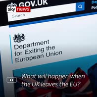 Hear the government's Brexit advice ads