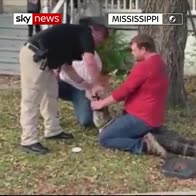 Alligator removed from drain in Mississippi