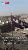 'I'm not a danger': British IS suspects' plea