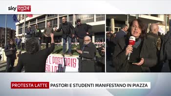 Protesta latte Sardegna, pastori e studenti in piazza