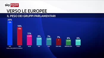 Verso le Europee, il peso dei gruppi parlamentari