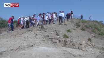 Aereo caduto, tra le vittime l'archeologo siciliano Tusa