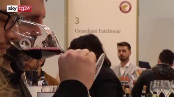 ERROR! Vinitaly, fino al 10 aprile Verona capitale mondiale del vino