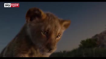Il trailer del Re Leone