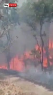 Ranging wildfire looms over Mexican city