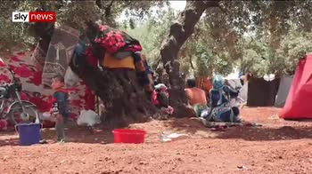 Women fleeing Syria violence give birth in olive groves