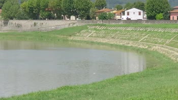 ERROR! Moria pesci in Arno, colpa del maltempo