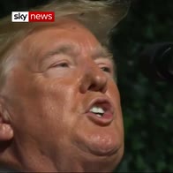Is that a fly in Trump's hair?