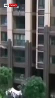 People save toddler from sixth-floor fall