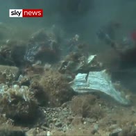 'Gulf of plastic corals' in sea off Greece